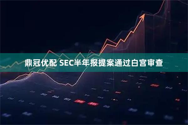 鼎冠优配 SEC半年报提案通过白宫审查